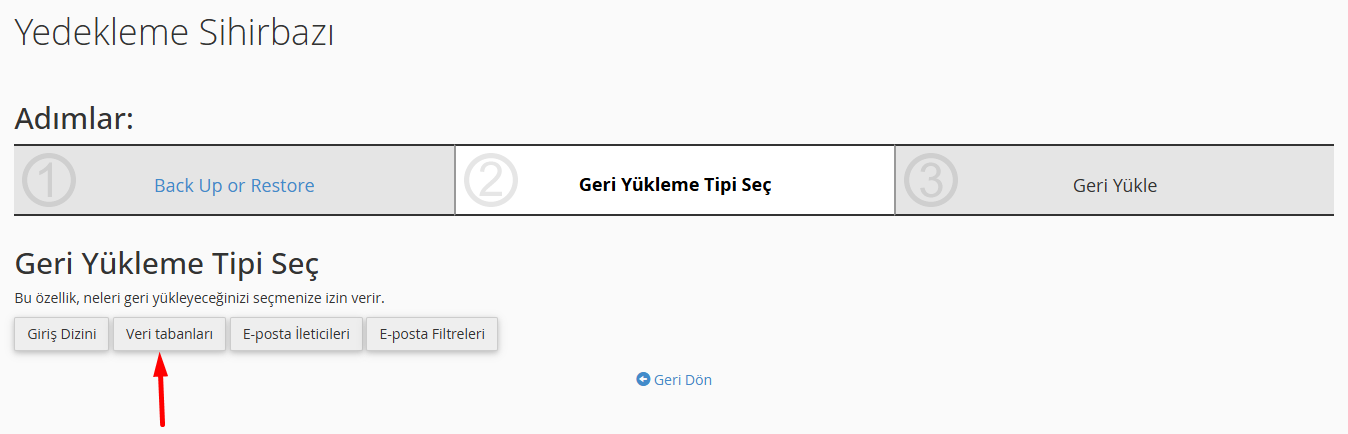 Wordpress Yedekleme İşlemi için Cpanel Site Yedeği Geri Yükleme Veritabanı