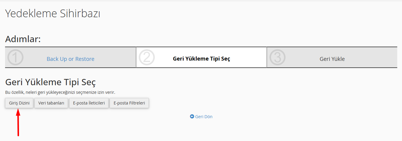 Wordpress Yedekleme için Cpanel Site Yedeği Geri Yükleme