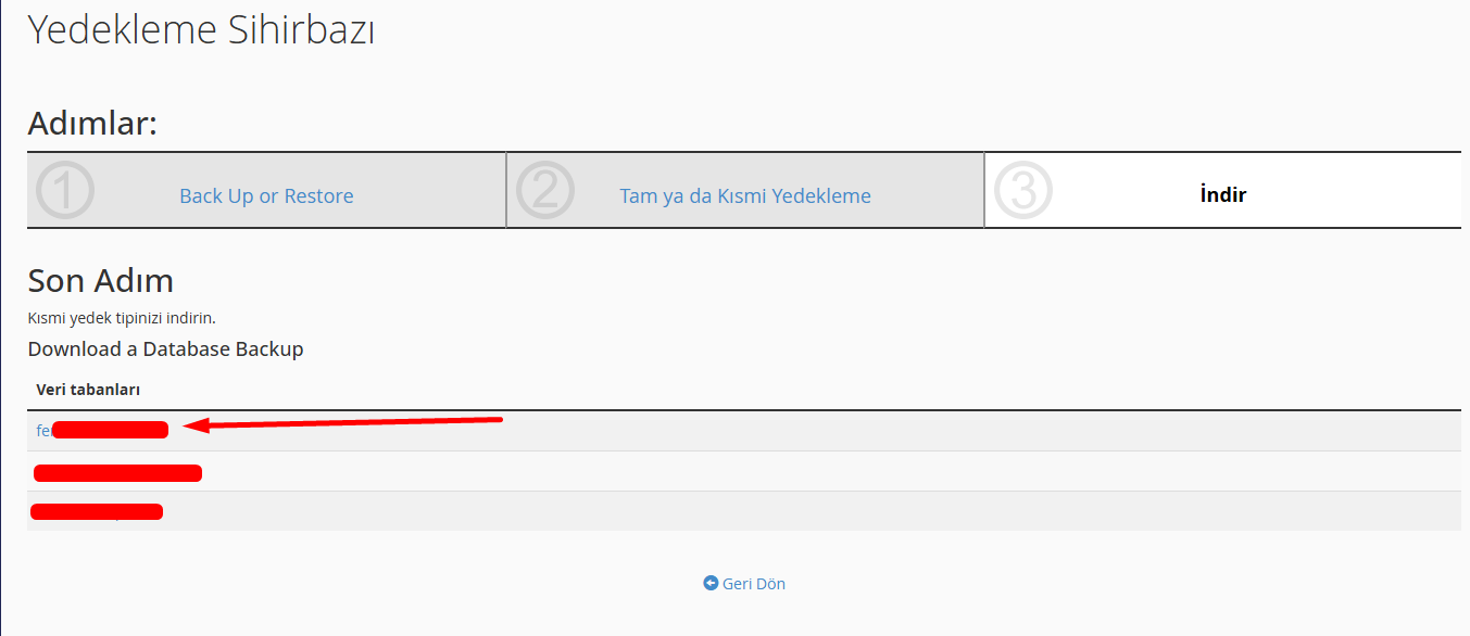 Wordpress Yedekleme için Cpanel Veritabanı Yedeği İndirme