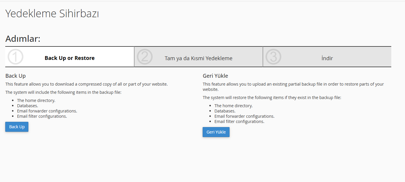 Wordpress Yedek Alabilmek için Cpanel Yedekleme Sihirbazı Backup